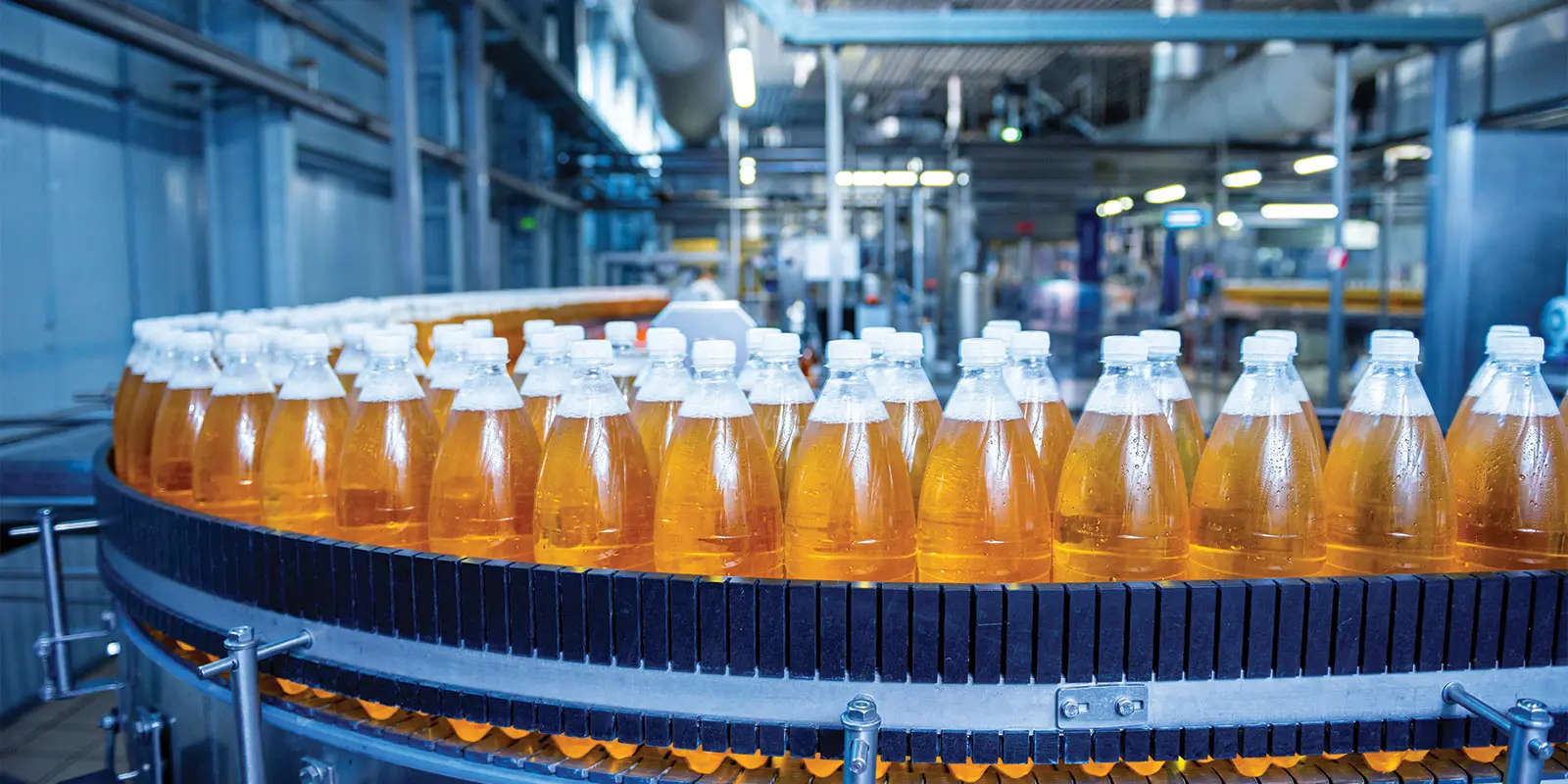 division-coverage-FOOD-&-BEVERAGE-RAW-MATERIAL